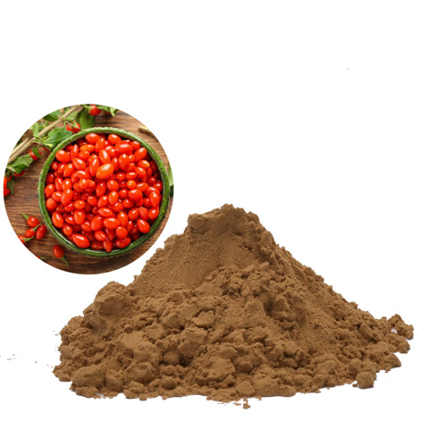 Wolfberry Extract