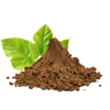 Mulberry Leaf Extract