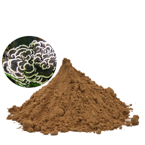 Coriolus Mushroom Extract