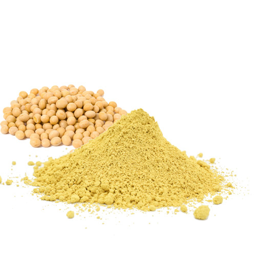 Soy Extract