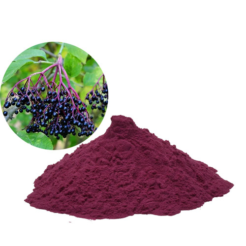 Elderberry Extract