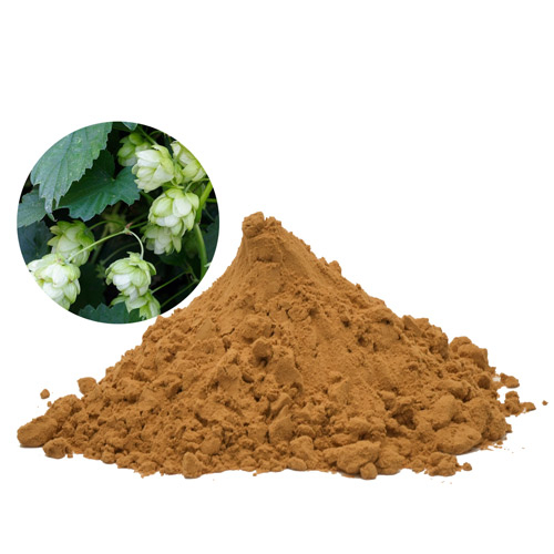 Hops Extract Powder