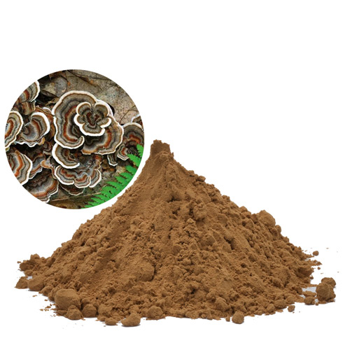 Coriolus Versicolor Mushroom Extract