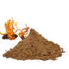 Cordyceps Extract