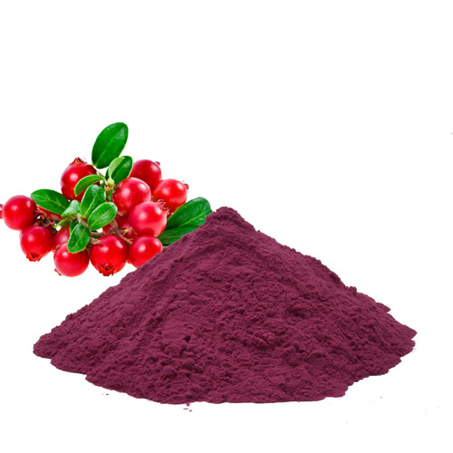 Cranberry Powder