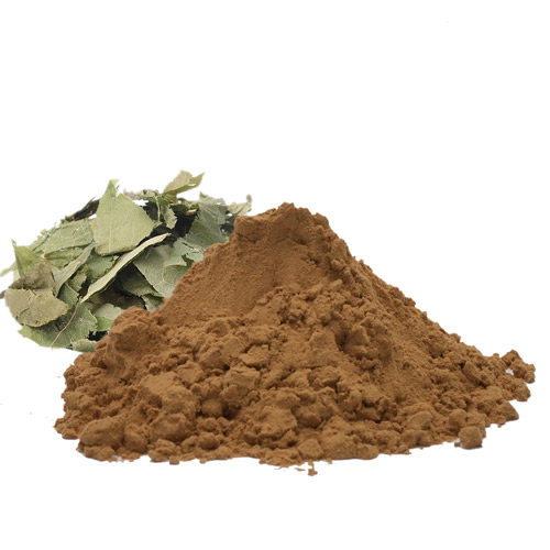 Epimedium Extract