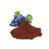 Grape Seed Extract